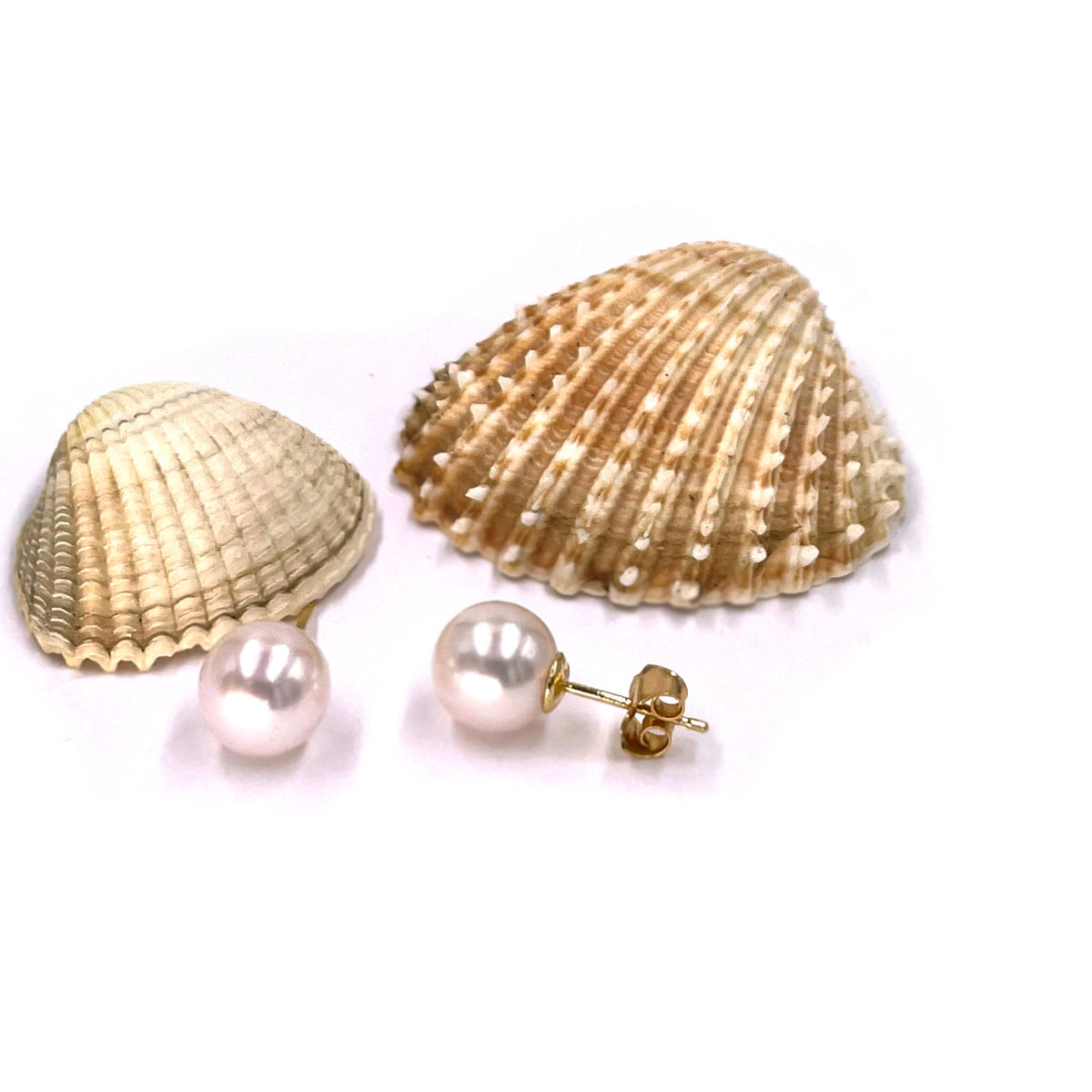 White Akoya Pearl (8.5mm) Stud Earrings on Yellow Gold