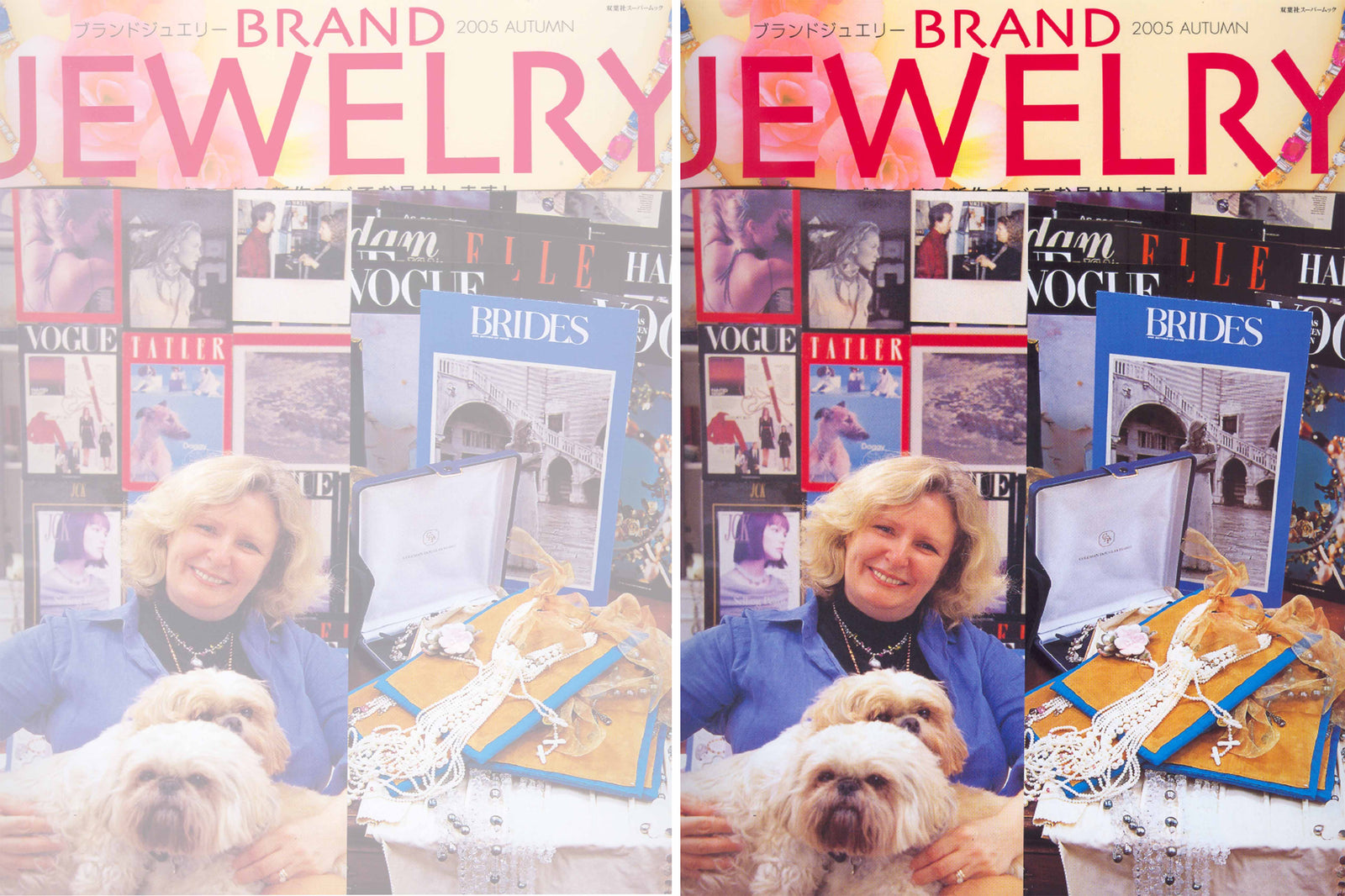 Brand Jewellery Japan