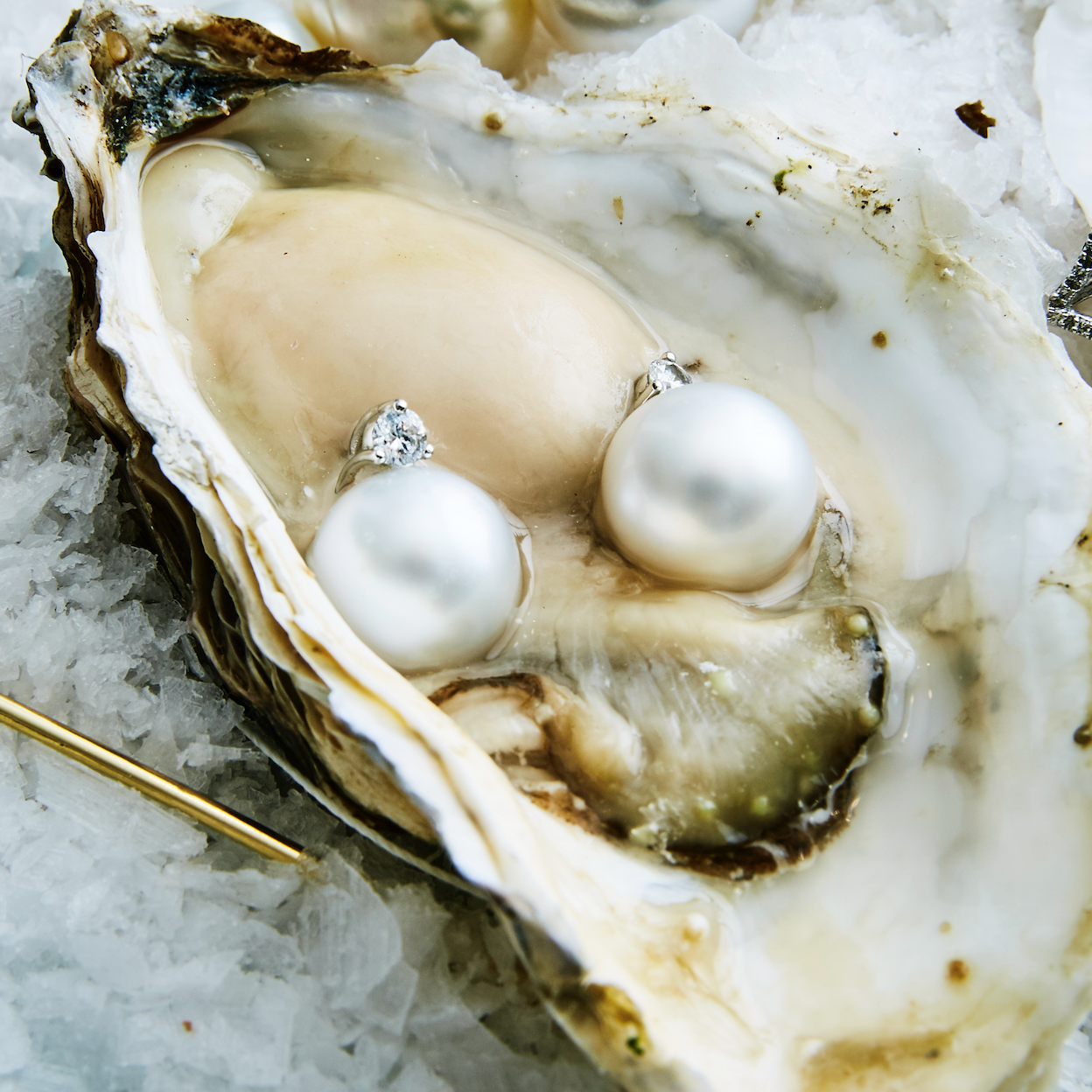 Can You Put Pearls in Jewellery Cleaner?