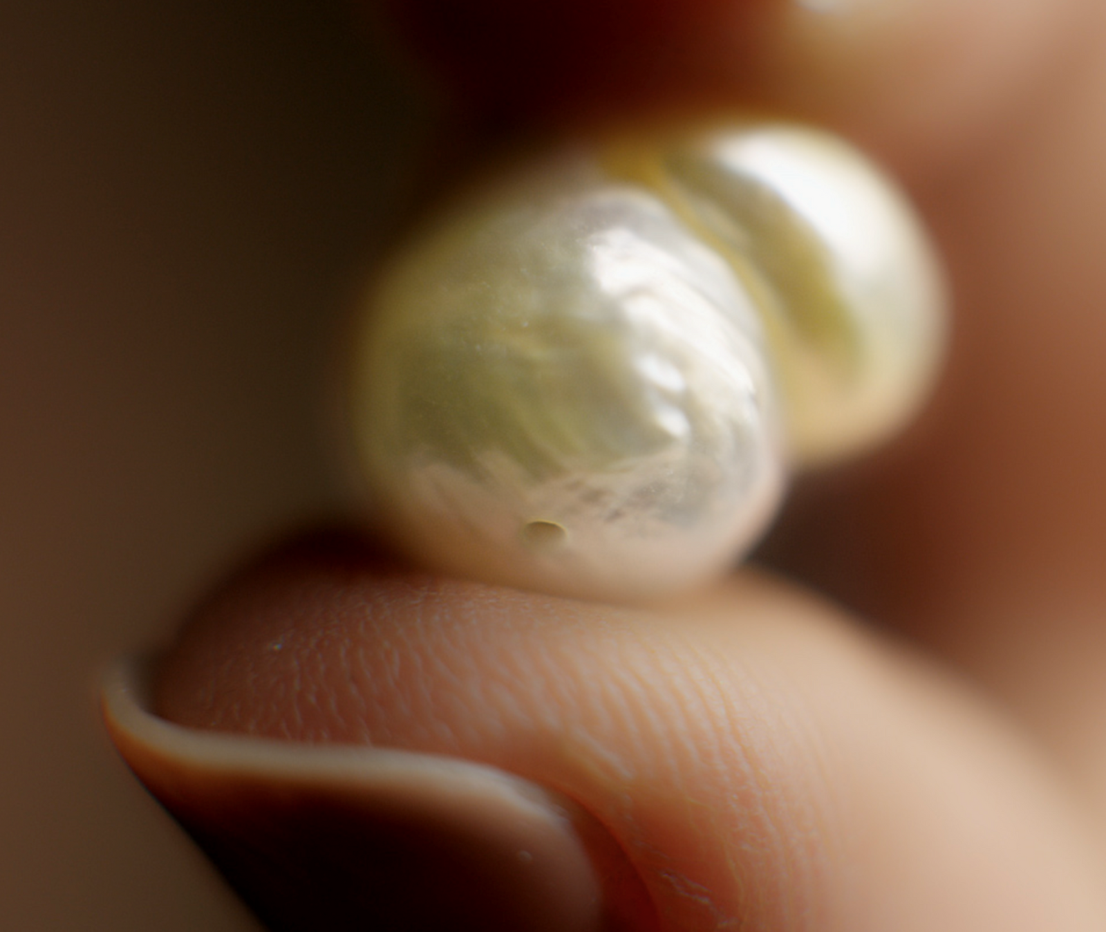 What Is the Best Pearl Quality?