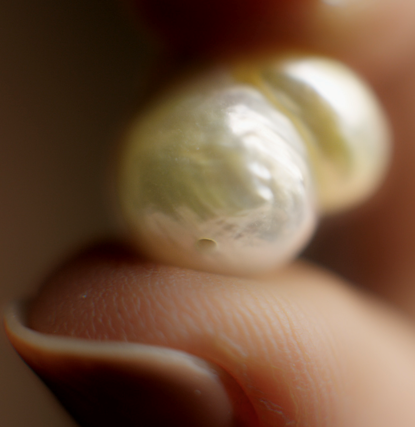 What Is the Best Pearl Quality?