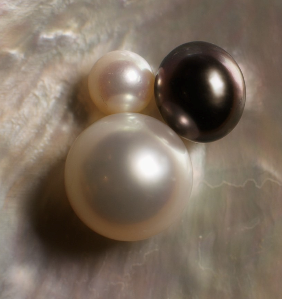 Paint from Pearls? Su Yu-Xin’s Unique Twist on Landscape Art