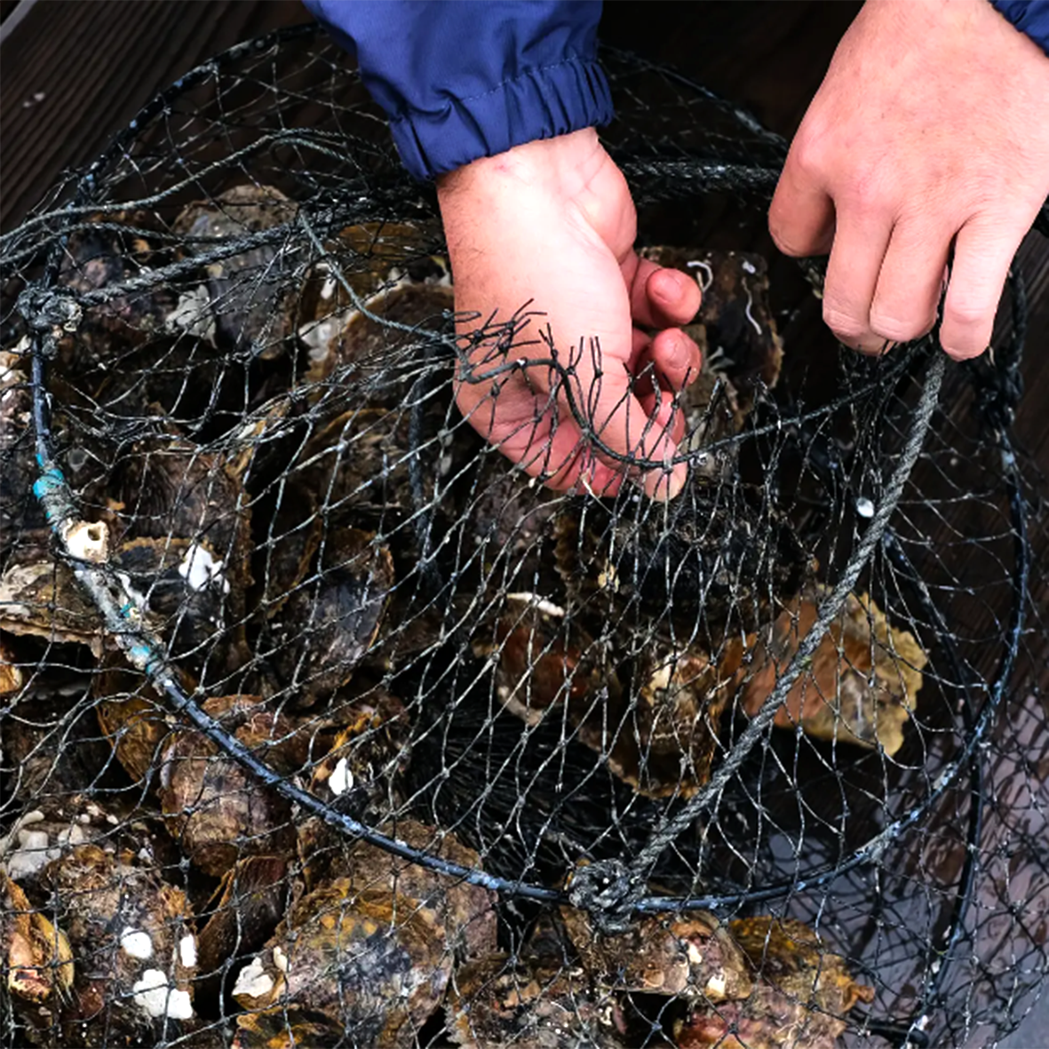 Pearl Diving in Scotland: A Forgotten Tradition