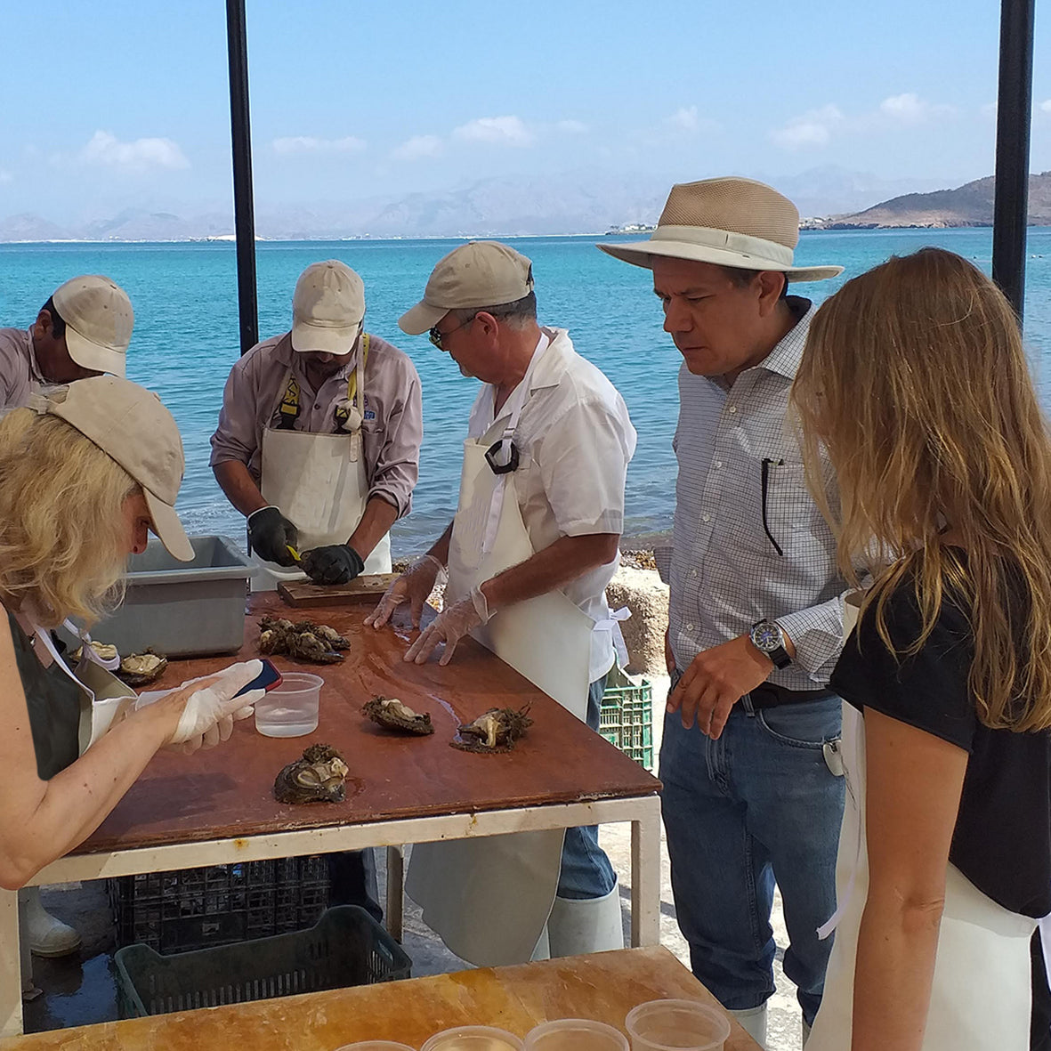 Which Country Has the Best Pearls?