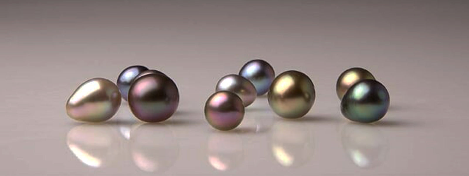 rainbow lipped pearl oyster jewellery