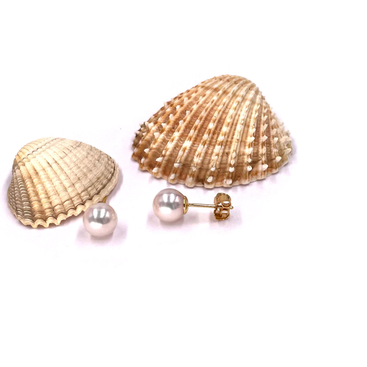 White Akoya Pearl (7.5mm) Stud Earrings on Yellow Gold