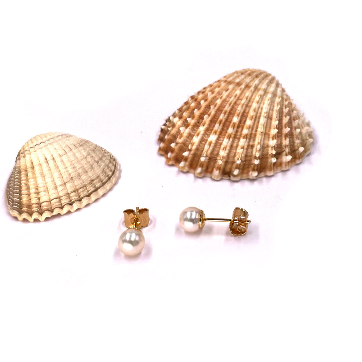 White Akoya Pearl (5.5mm) Stud Earrings on Yellow Gold