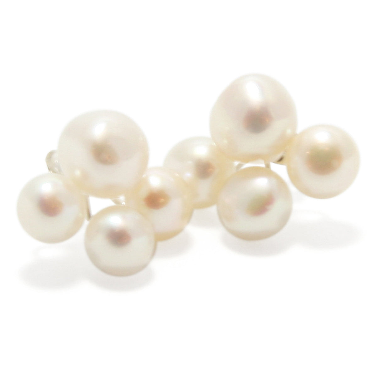 Freshwater Pearl &#39;Moonstone&#39; Earrings in White
